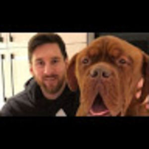 Meet your Posher, Antolin